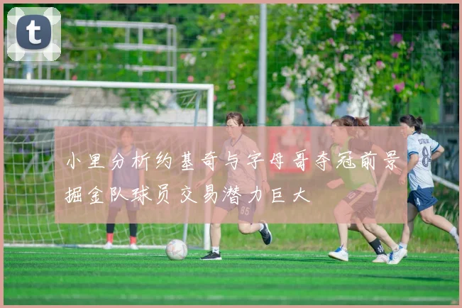 小里分析约基奇与字母哥夺冠前景掘金队球员交易潜力巨大